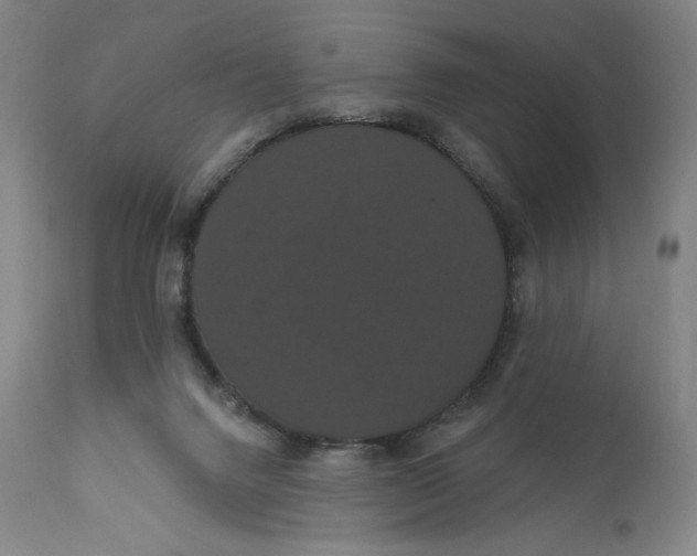 X0000111020072200907101350