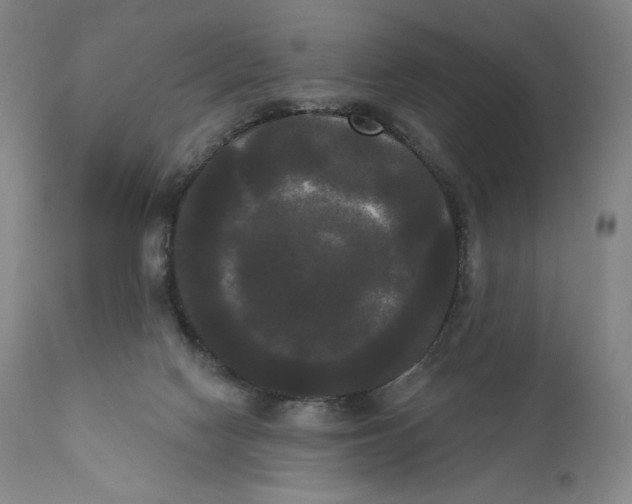 X0000111020074200907101350