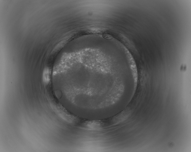 X0000111020075200907101350