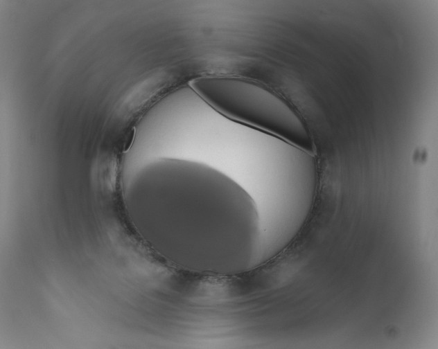X0000111020076200907101350
