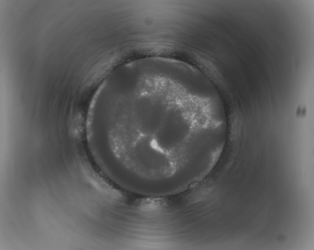 X0000111020077200907101350