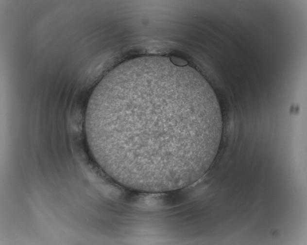 X0000111020078200907101350
