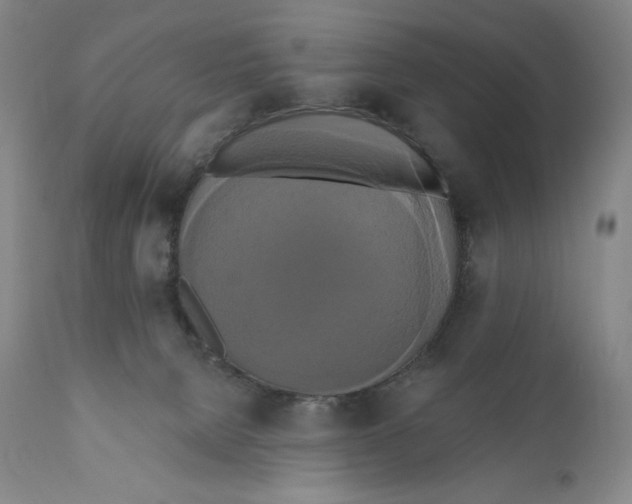 X0000111020080200907101350