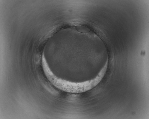 X0000111020081200907101350