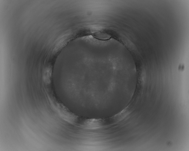 X0000111020082200907101350