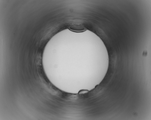 X0000111020083200907101350