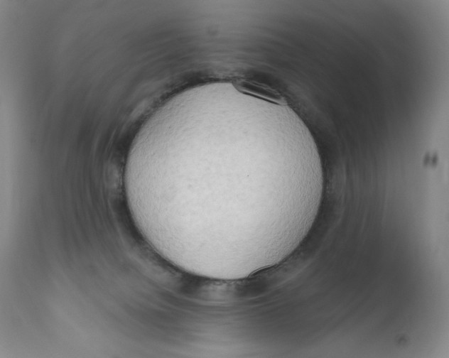 X0000111020084200907101350