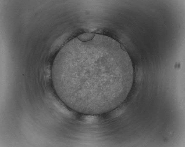 X0000111020085200907101350