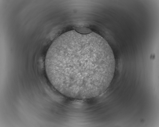 X0000111020086200907101350