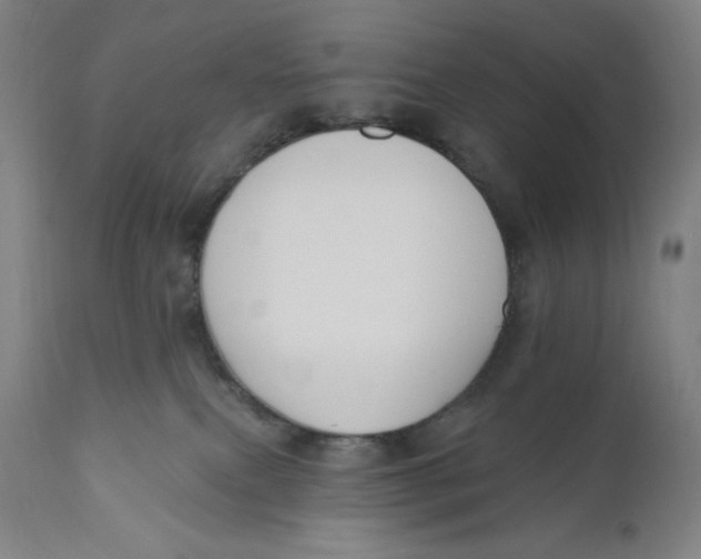 X0000111020087200907101350