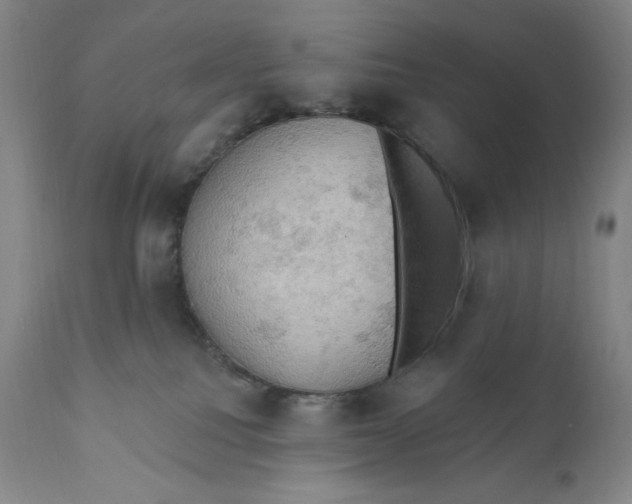 X0000111020088200907101350