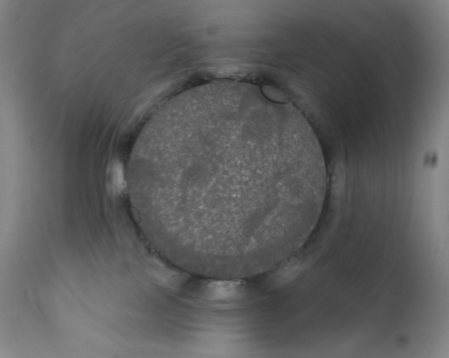 X0000111020089200907101350
