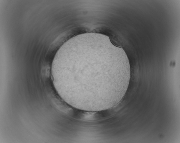 X0000111020090200907101350