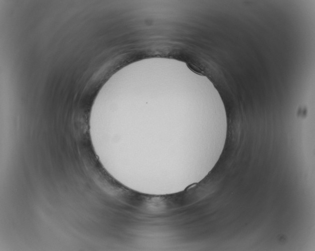 X0000111020091200907101350