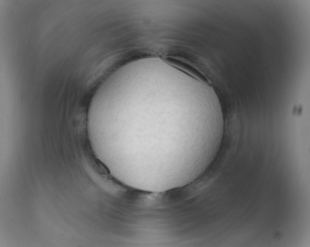 X0000111020092200907101350