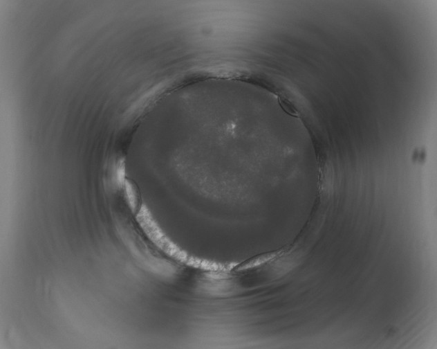 X0000111020095200907101350