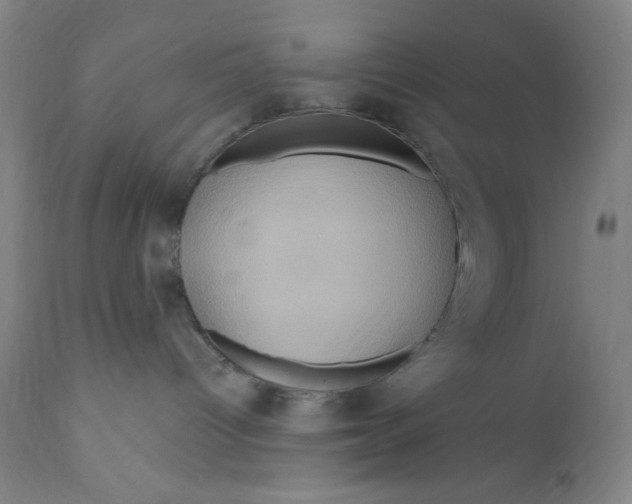 X0000111020096200907101350