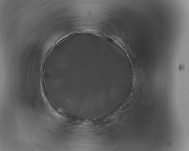 X0000111020097200907101349