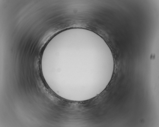 X0000111020098200907101349