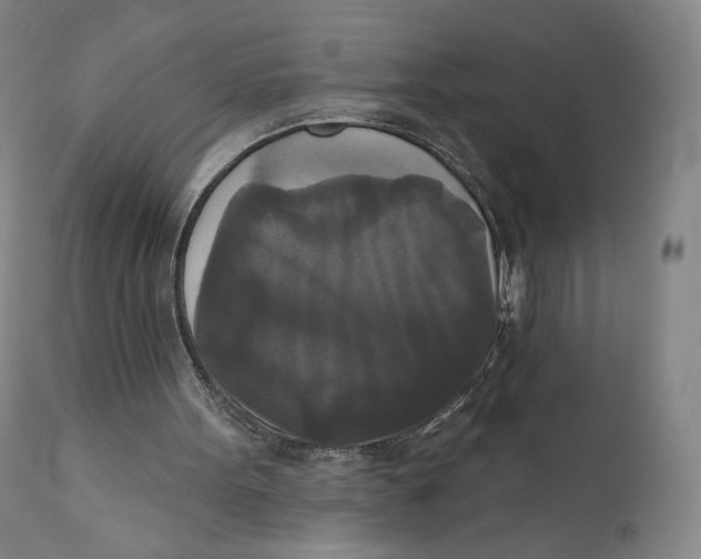 X0000111020099200907101349