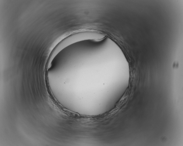 X0000111020100200907101349