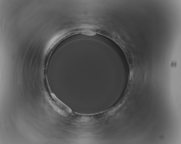 X0000111020101200907101349