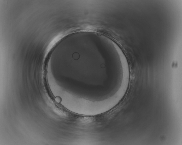 X0000111020102200907101349