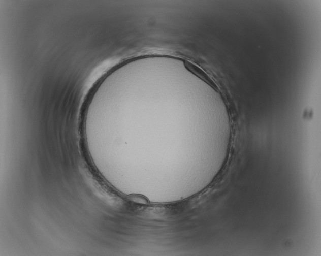 X0000111020104200907101349