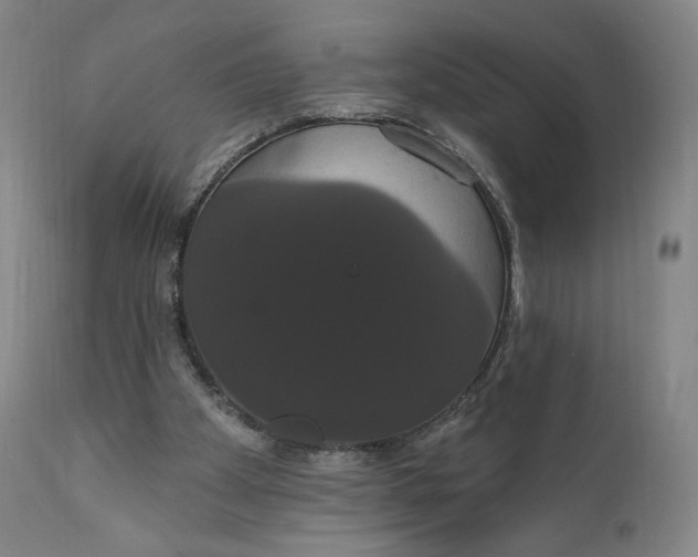 X0000111020105200907101349