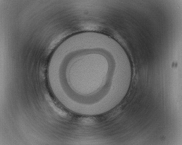 X0000111020106200907101349
