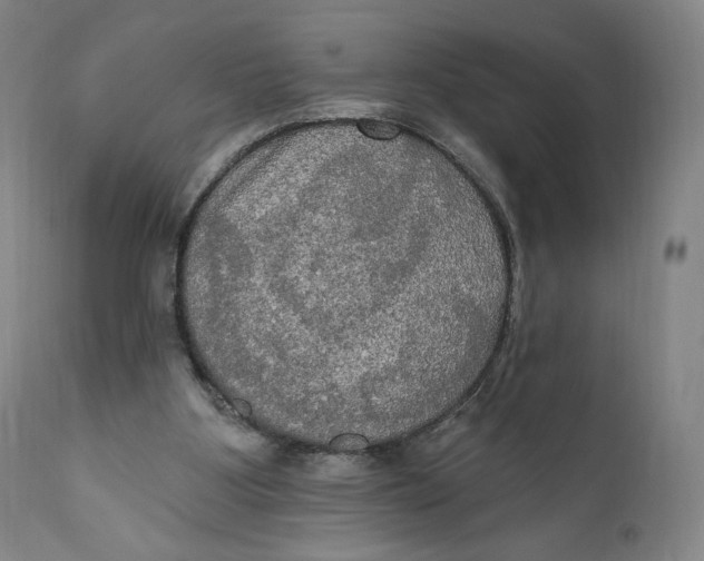 X0000111020107200907101349