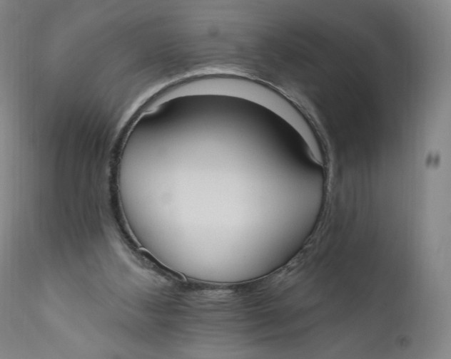 X0000111020108200907101349