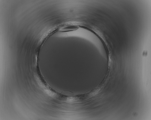 X0000111020109200907101349