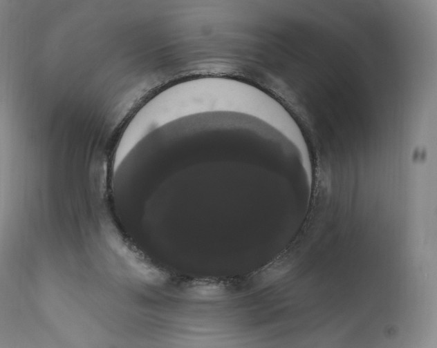 X0000111020110200907101349
