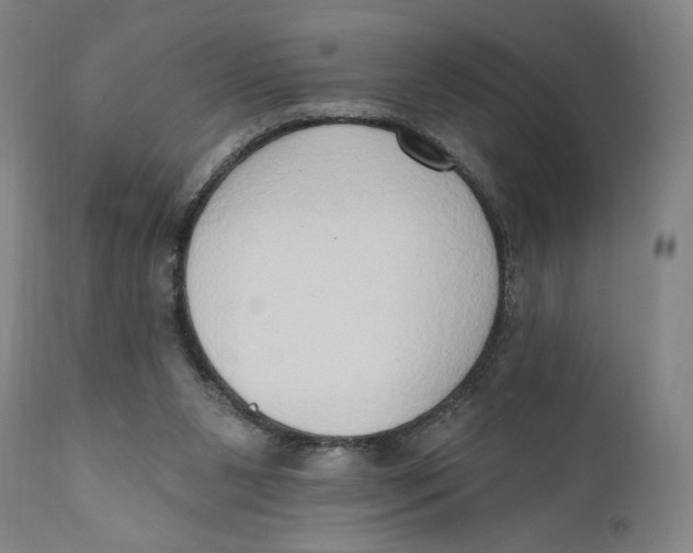 X0000111020111200907101349