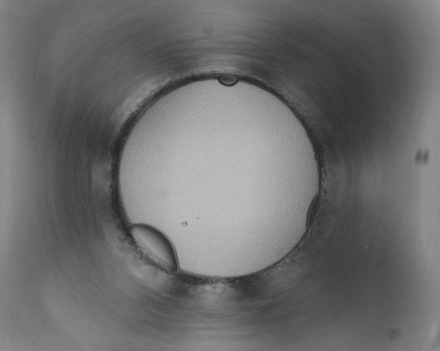 X0000111020112200907101349