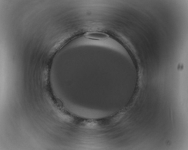 X0000111020113200907101349