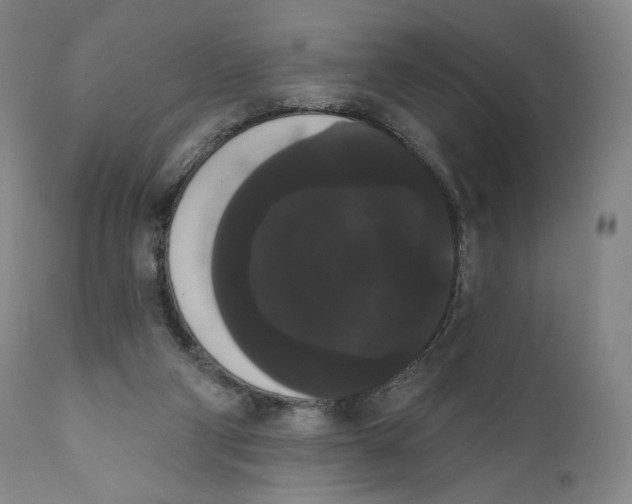 X0000111020114200907101349