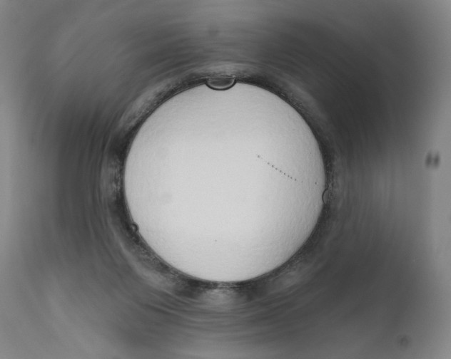 X0000111020119200907101349