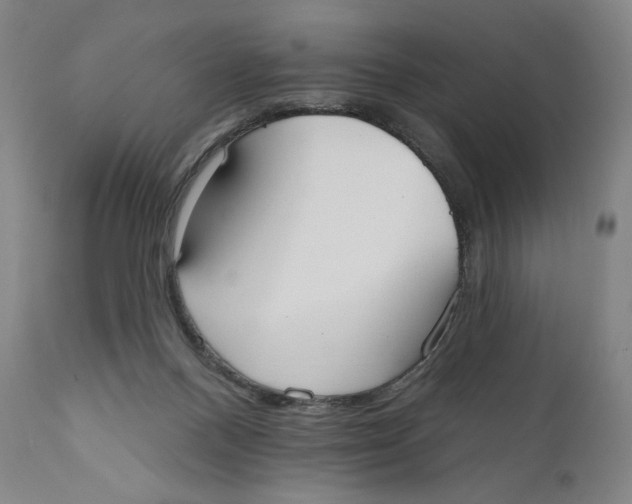 X0000111020120200907101349