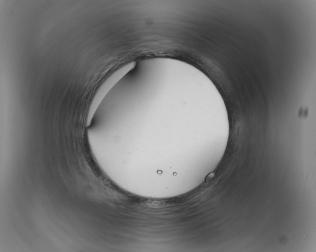 X0000111020121200907101349