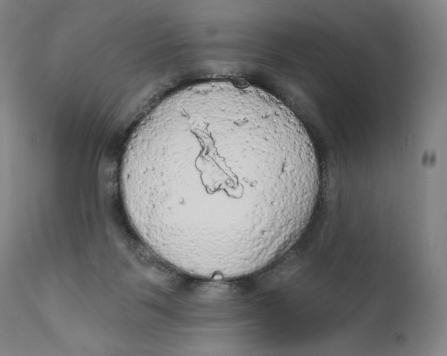 X0000111020123200907101349