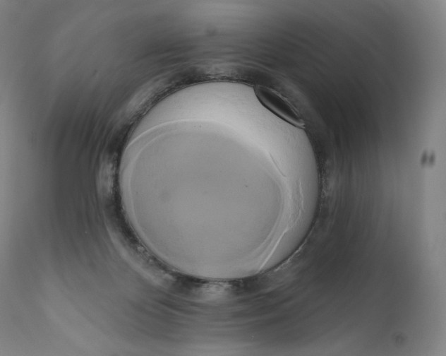 X0000111020124200907101349