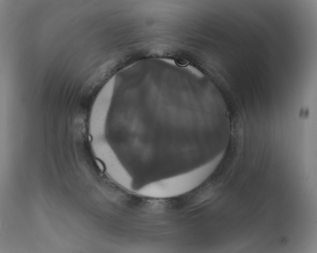 X0000111020127200907101349