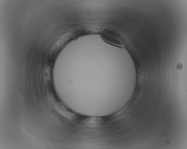 X0000111020128200907101349