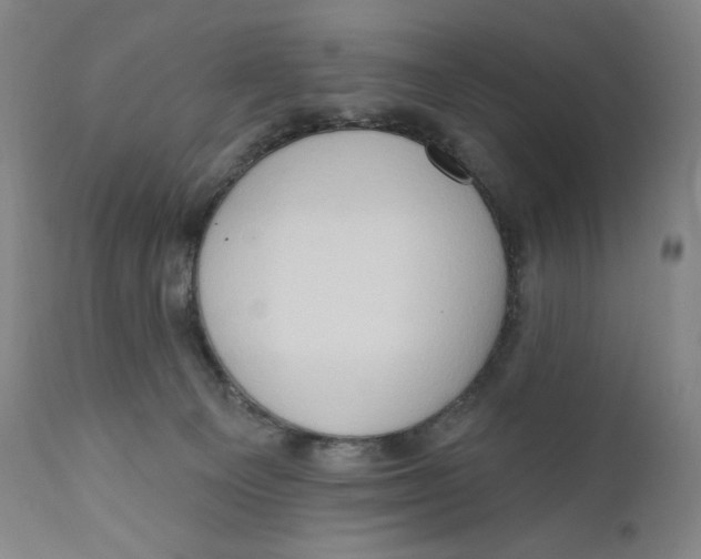 X0000111020129200907101349