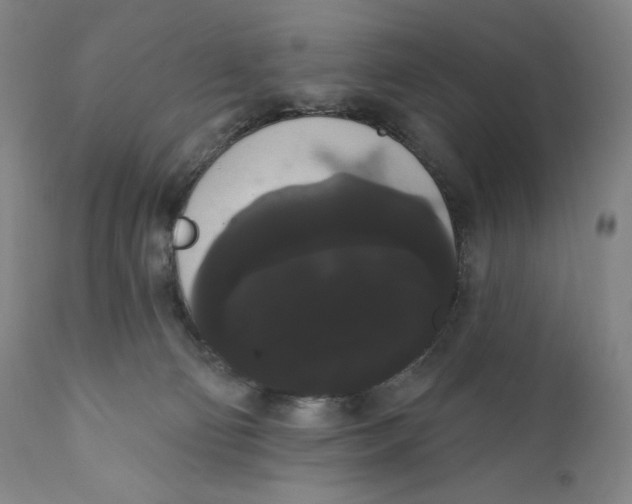 X0000111020130200907101349