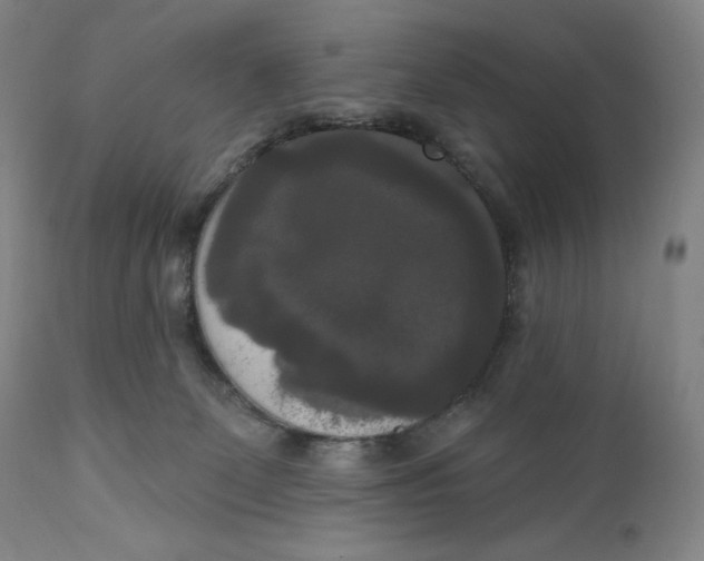 X0000111020131200907101349