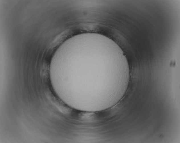 X0000111020132200907101349