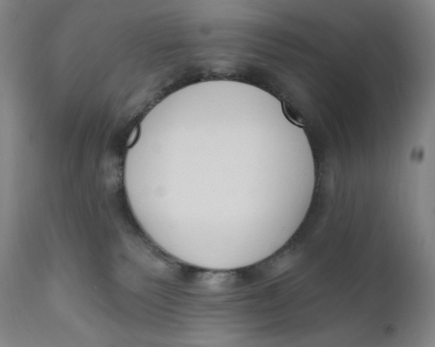 X0000111020135200907101349